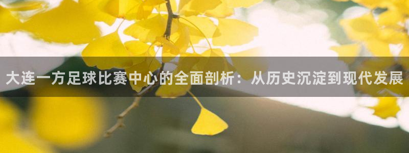 大连一方足球比赛中心的全面剖析:从历史沉淀到现代发展