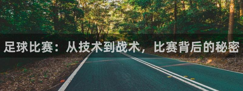 足球比赛:从技术到战术,比赛背后的秘密